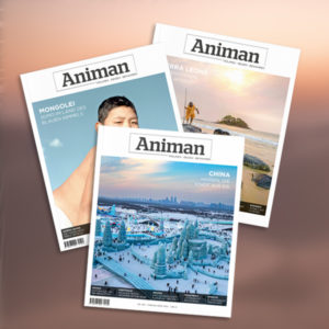 Print-Abonnement : 1 Jahr