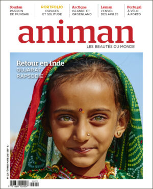 Magazine n°221
