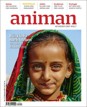 Magazin Nr 221