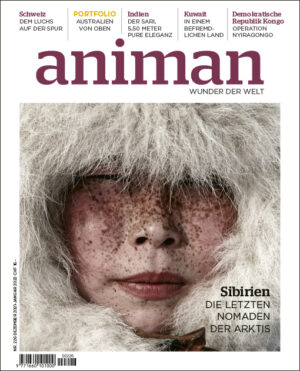 Magazin Nr 226