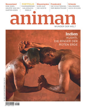 Magazin Nr 230