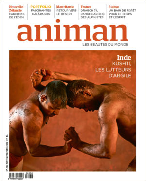 Magazine n°230