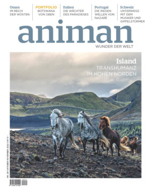 Magazin Nr 231