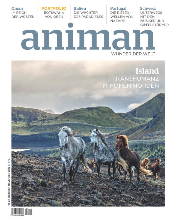 Magazin Nr 231