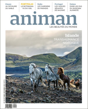 Magazine n° 231