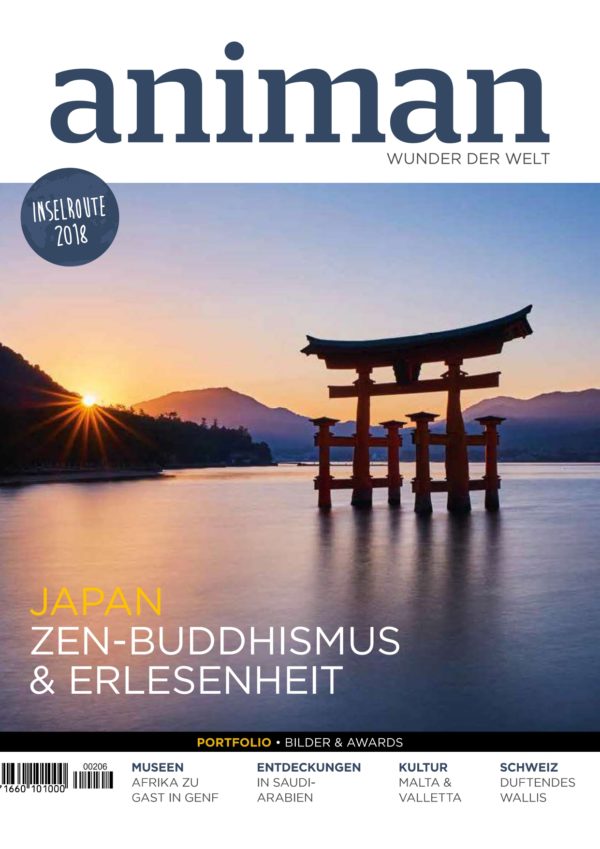 Magazin Nr 206