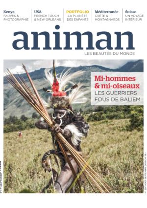 Magazin Nr 207