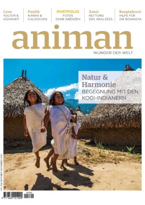 Magazin Nr 208