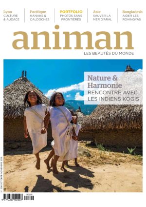 Magazine 208