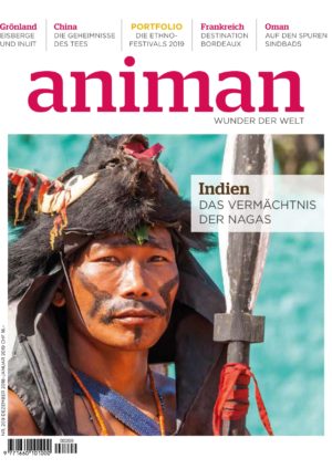 Magazin Nr 209