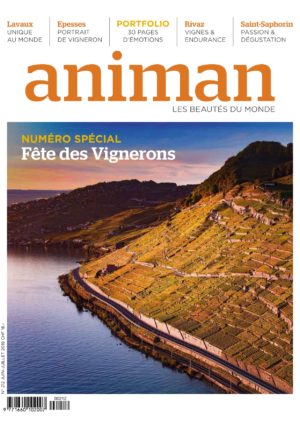 Magazin Nr 212