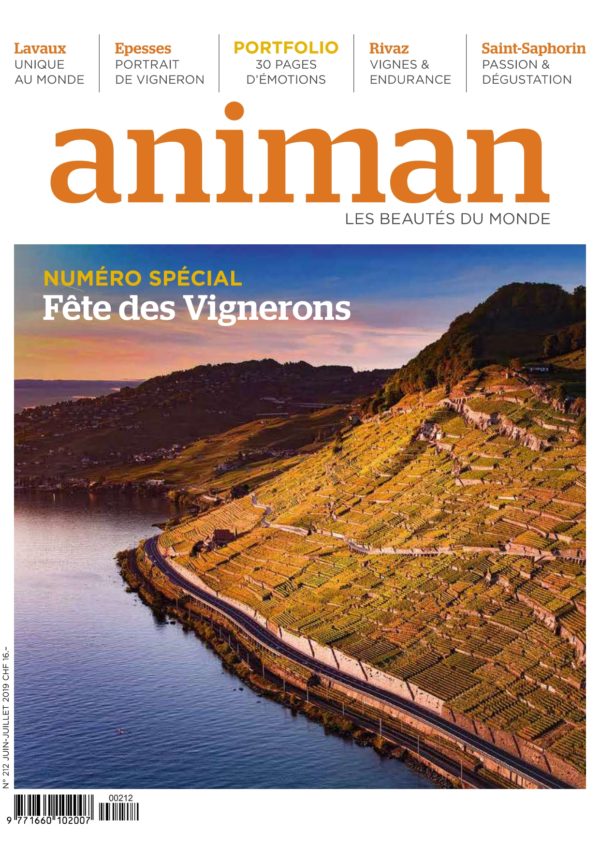 Magazine n° 212