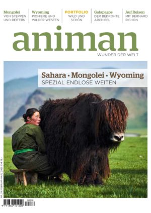 Magazin Nr 216
