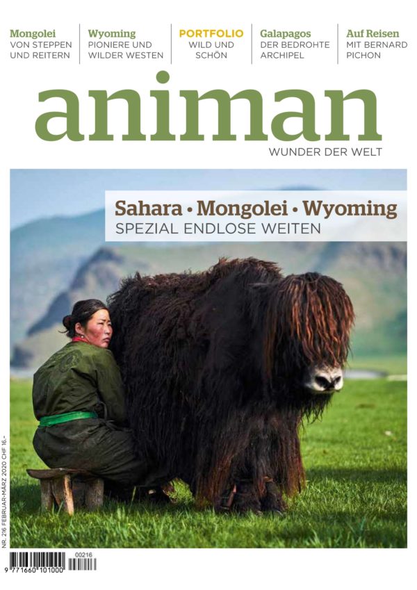 Magazin Nr 216