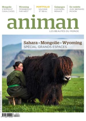 Magazine n° 216