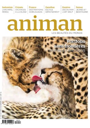 Magazin Nr 219