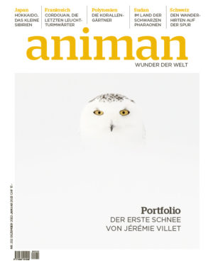 Magazin Nr 232