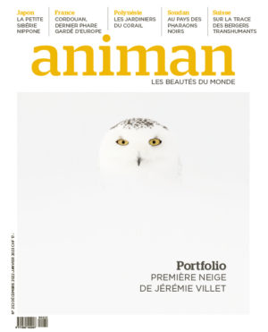 Magazine n° 232