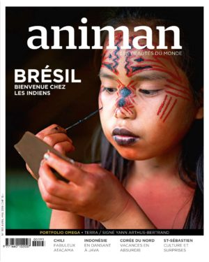 Magazine n° 193
