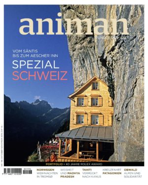 Magazin Nr 196