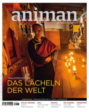 Magazin Nr 197