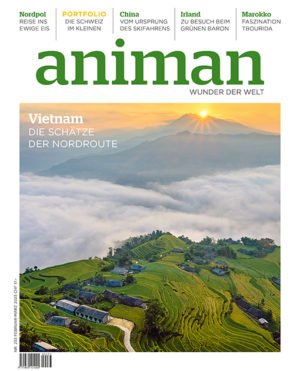 Magazin Nr 233