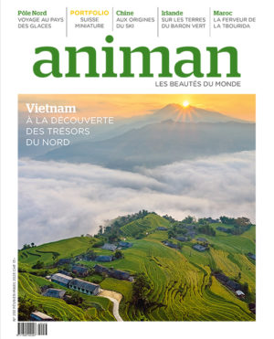 Magazine n° 233