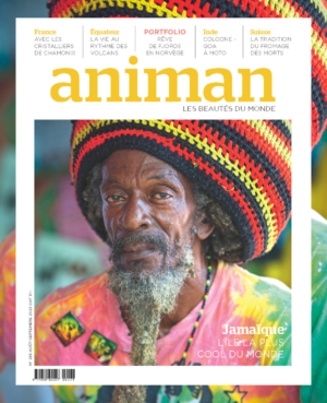 Magazine n° 236