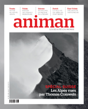 Magazine n° 235