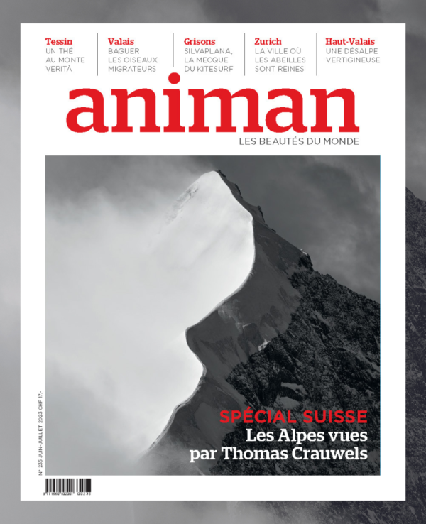 Magazine n° 235