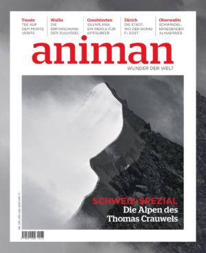 Magazin nr 235