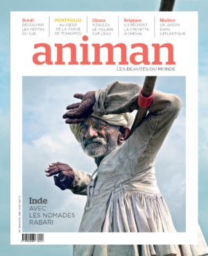 Magazine n° 234