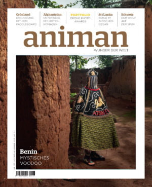 Magazin NR 237