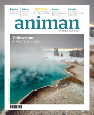 Magazin NR 238