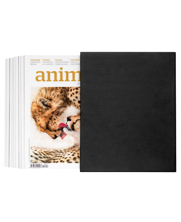 Animan-Sammelschuber – Bild 2