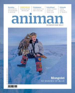 Magazin NR 239