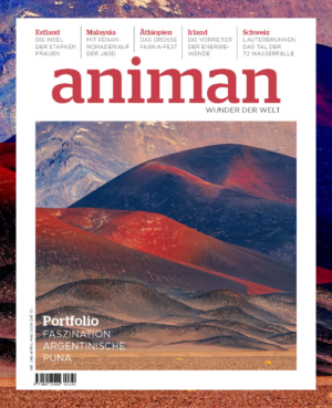Magazin NR 240