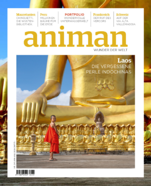 Magazine NR 241