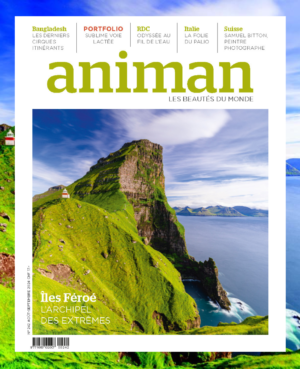 Magazin NR 242