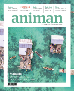 Magazine n°243