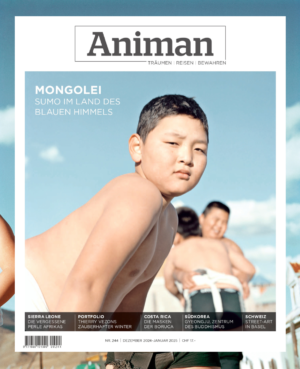 Magazin NR 244