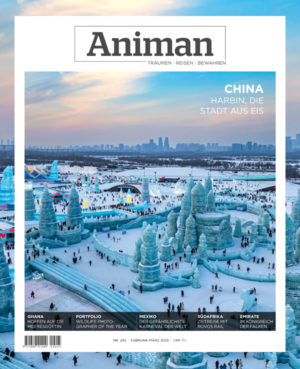 Magazin NR 245