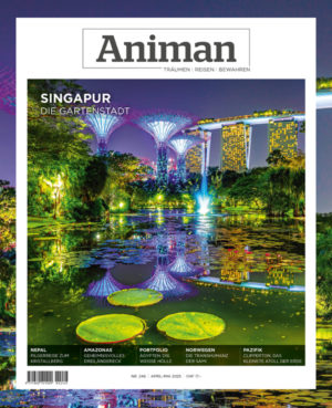 Magazin NR 246