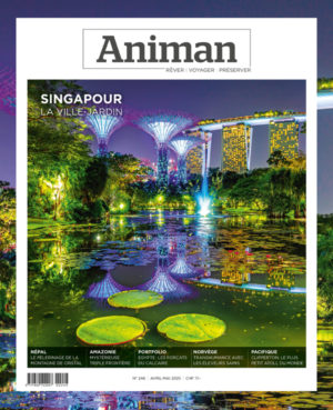 Magazin NR 246