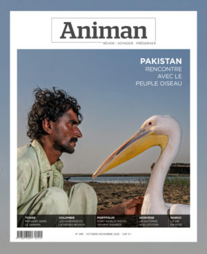 Magazine n° 249