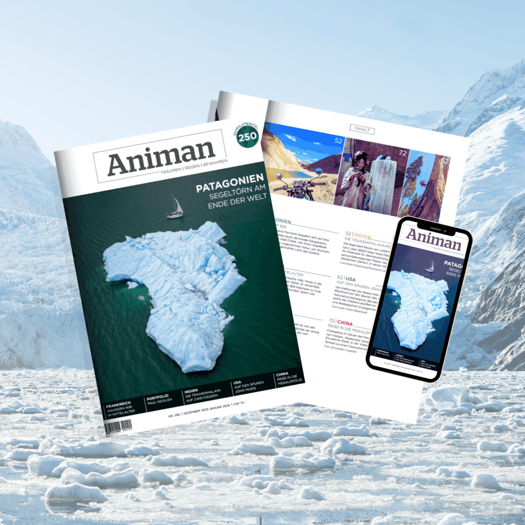 Magazine animan 250e collector