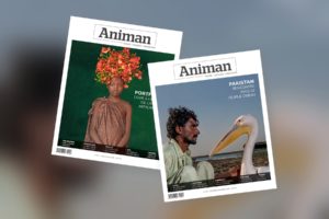 Offre d'essai papier