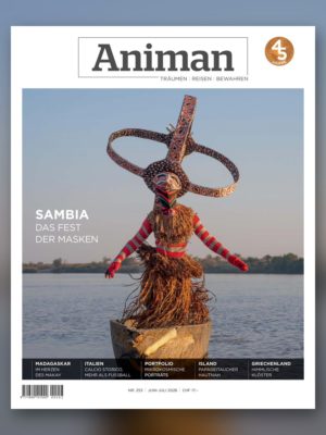 Magazin NR 253