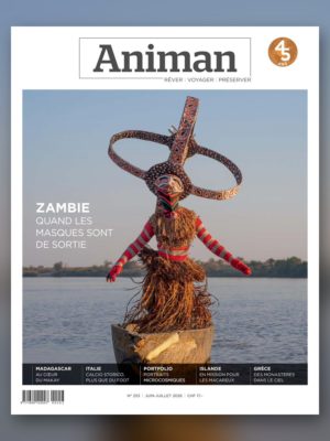 Magazine n° 253