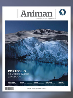 Magazin NR 254